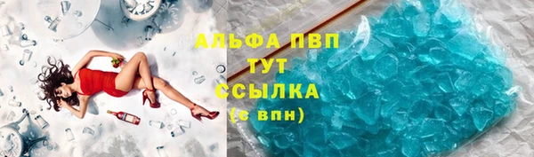 spice Гусев