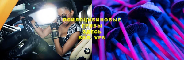 spice Гусев