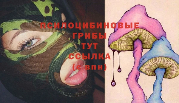 spice Гусев