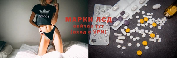spice Гусев