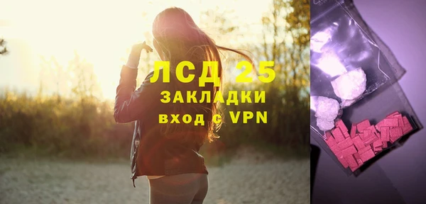 гидра Гусь-Хрустальный