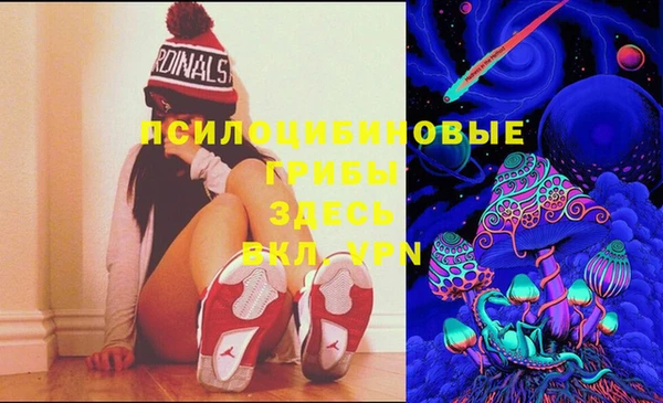 гидра Гусь-Хрустальный