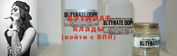 гидра Гусь-Хрустальный
