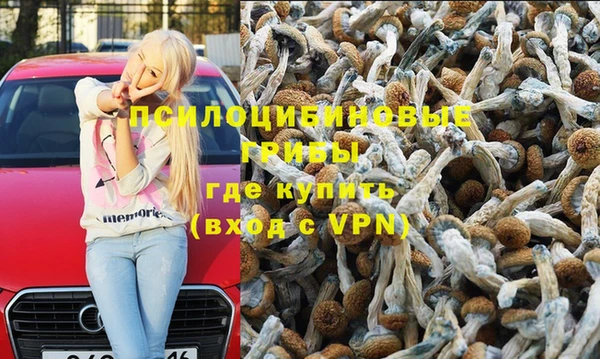 spice Гусиноозёрск