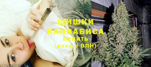 spice Гусев