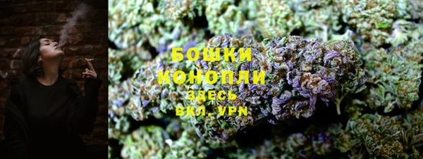 spice Гусиноозёрск