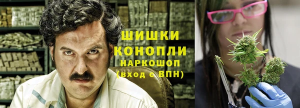 гидра Гусь-Хрустальный