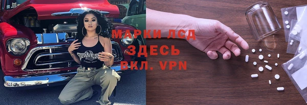 гидра Гусь-Хрустальный