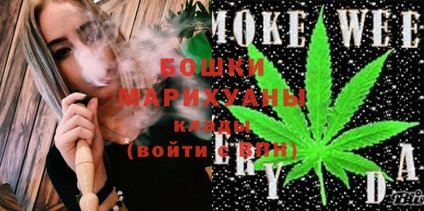 гидра Гусь-Хрустальный